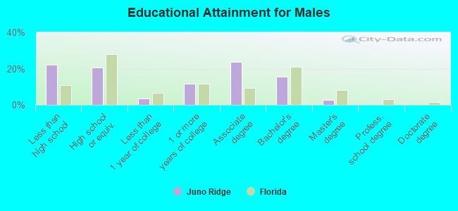 Educational Attainment for Males