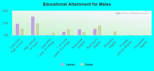 Educational Attainment for Males