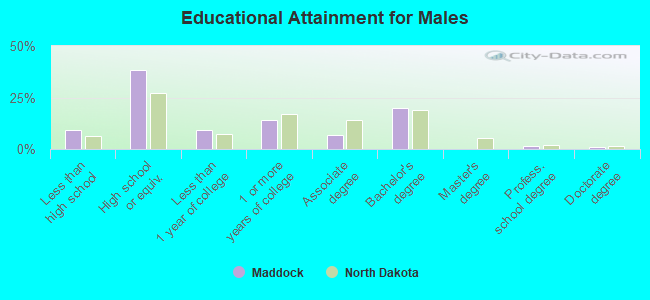 Educational Attainment for Males