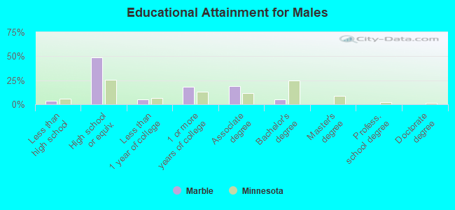 Educational Attainment for Males