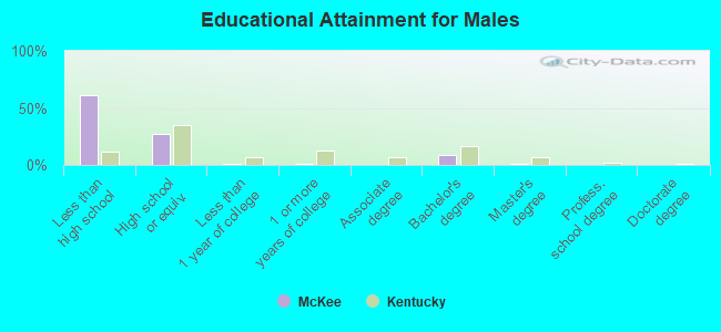 Educational Attainment for Males