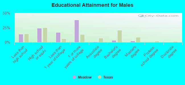 Educational Attainment for Males