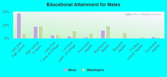 Educational Attainment for Males