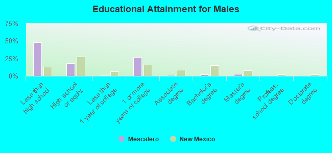 Educational Attainment for Males