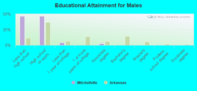 Educational Attainment for Males