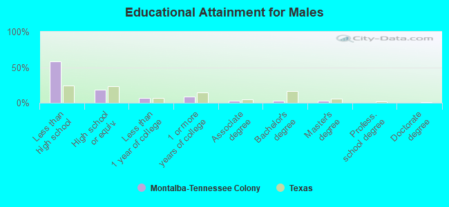 Educational Attainment for Males