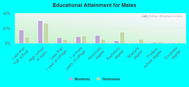 Educational Attainment for Males