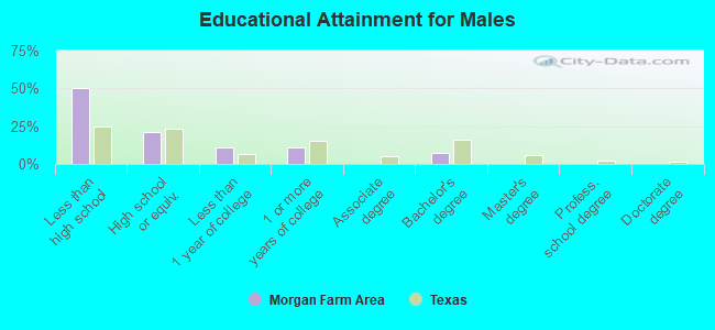 Educational Attainment for Males