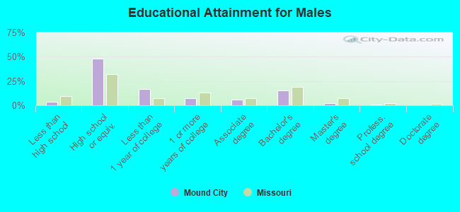 Educational Attainment for Males