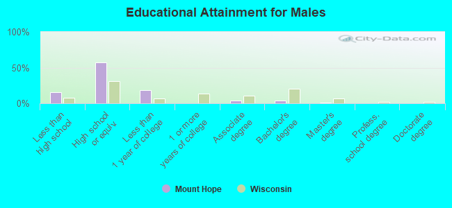 Educational Attainment for Males