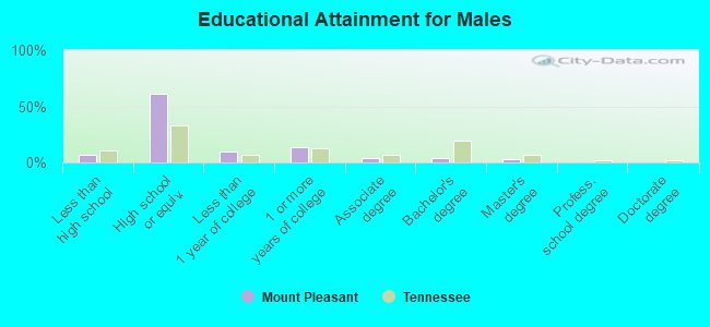 Educational Attainment for Males