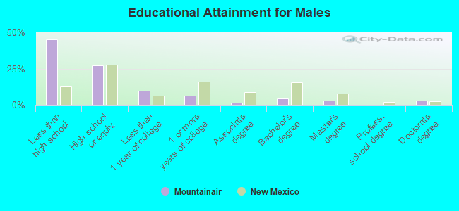 Educational Attainment for Males