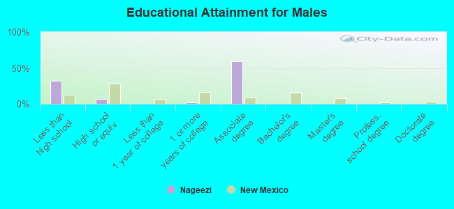 Educational Attainment for Males