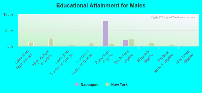 Educational Attainment for Males