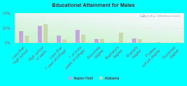 Educational Attainment for Males