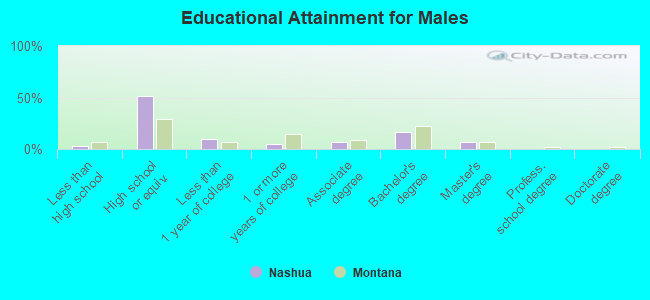 Educational Attainment for Males