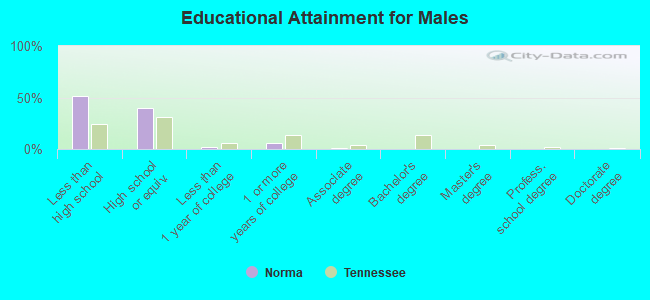 Educational Attainment for Males