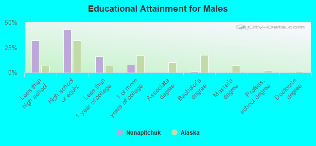 Educational Attainment for Males