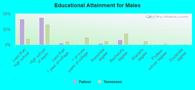 Educational Attainment for Males