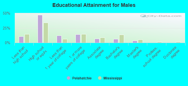 Educational Attainment for Males