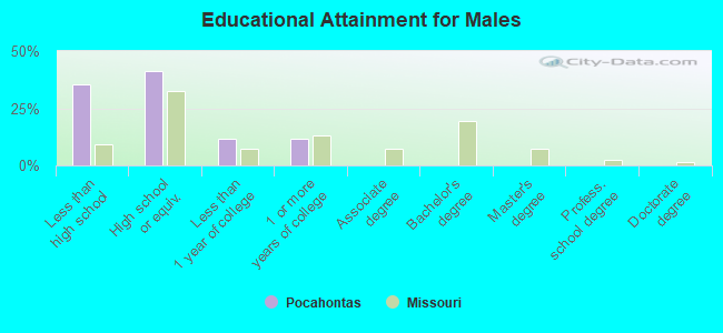 Educational Attainment for Males