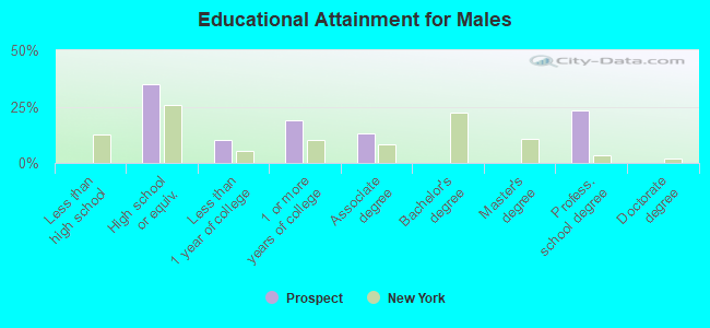 Educational Attainment for Males