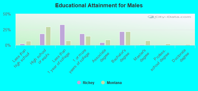 Educational Attainment for Males