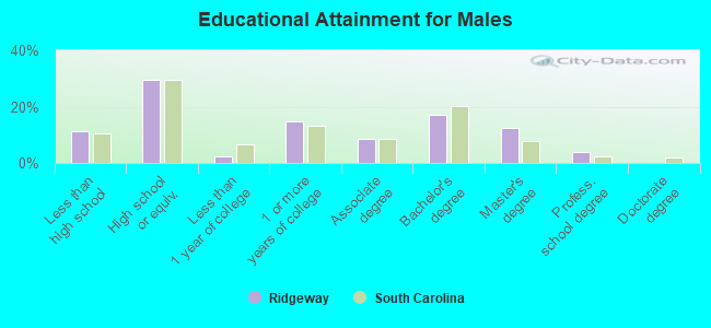 Educational Attainment for Males