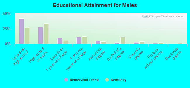 Educational Attainment for Males