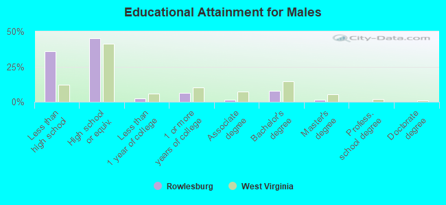 Educational Attainment for Males