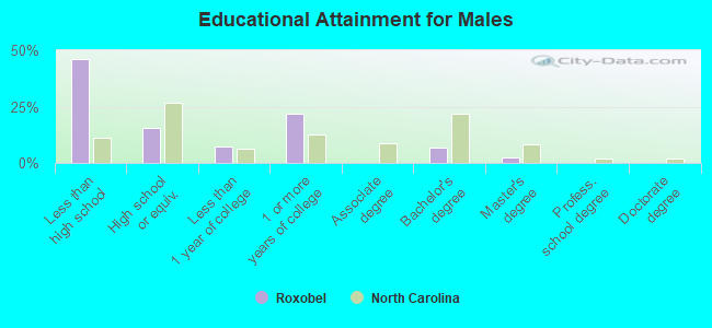 Educational Attainment for Males