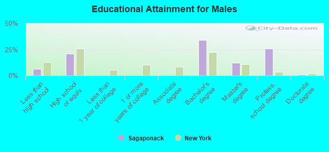 Educational Attainment for Males