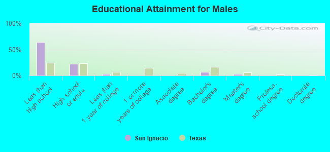 Educational Attainment for Males