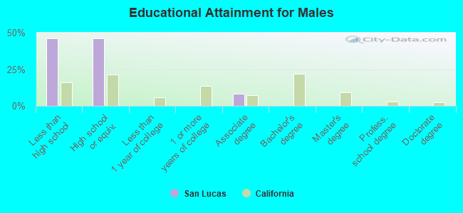 Educational Attainment for Males