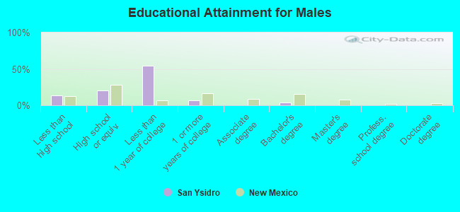 Educational Attainment for Males