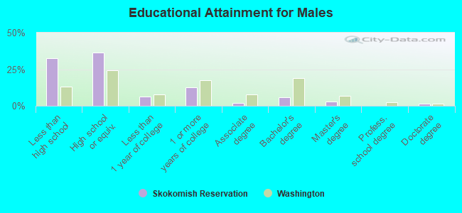 Educational Attainment for Males