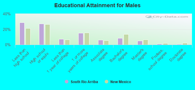 Educational Attainment for Males