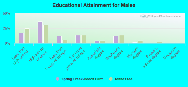 Educational Attainment for Males