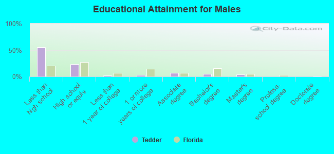 Educational Attainment for Males