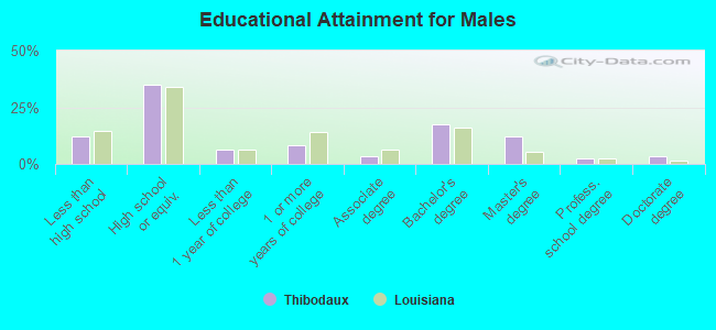 Educational Attainment for Males