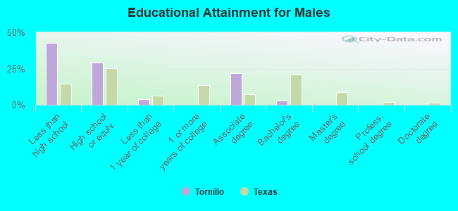 Educational Attainment for Males