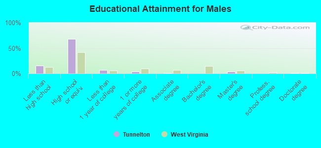 Educational Attainment for Males