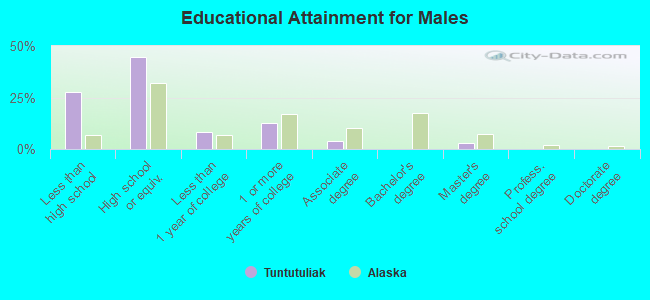 Educational Attainment for Males