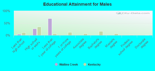 Educational Attainment for Males