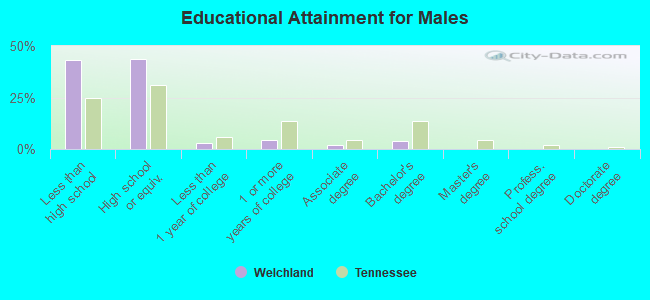 Educational Attainment for Males