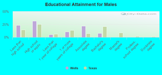 Educational Attainment for Males