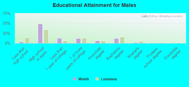 Educational Attainment for Males