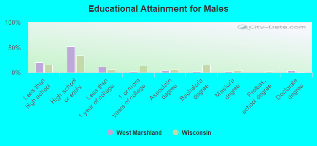 Educational Attainment for Males