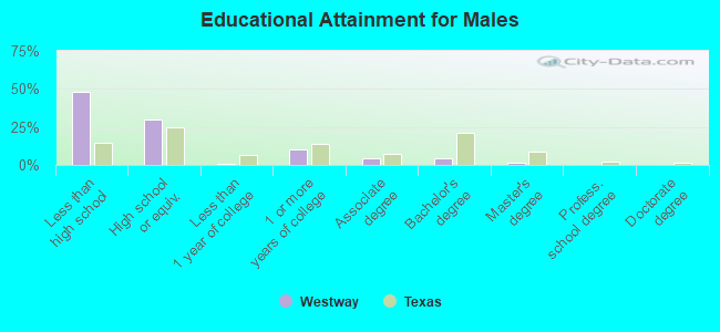 Educational Attainment for Males