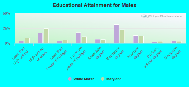 Educational Attainment for Males